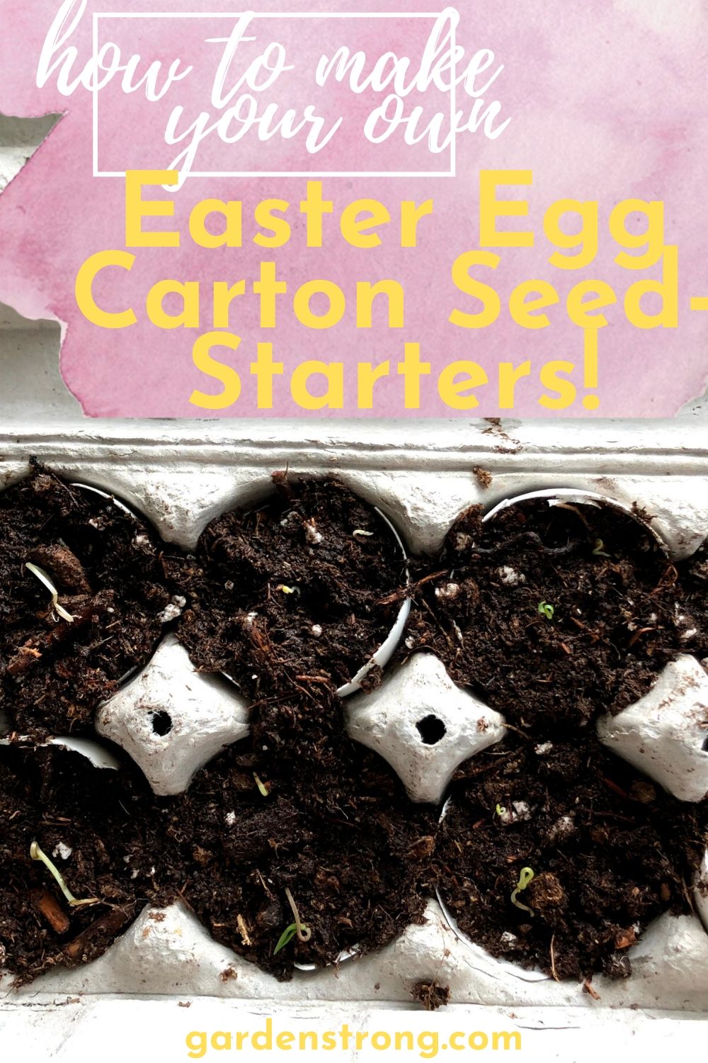 easter egg-carton seed starter