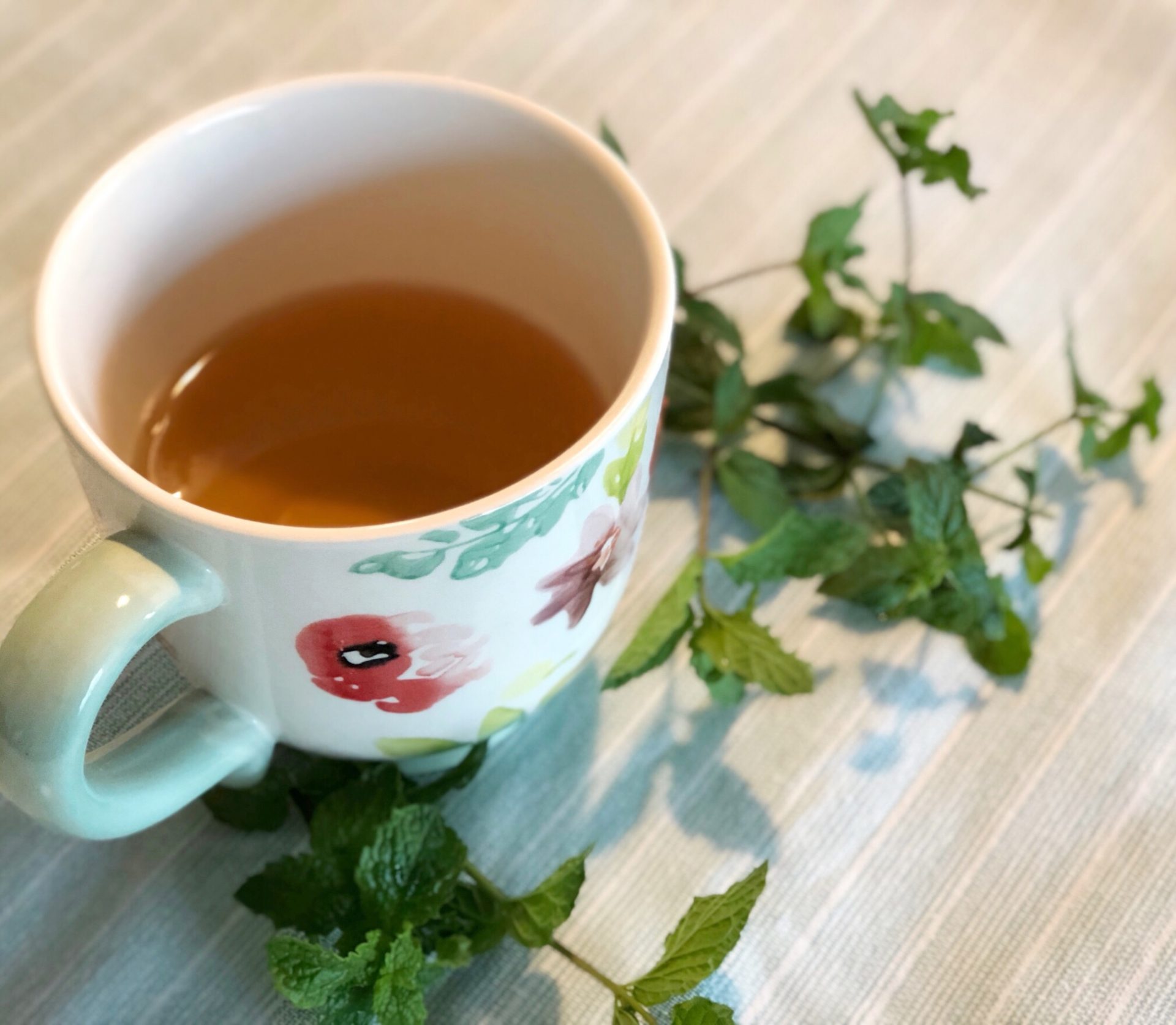 fresh home-made home-grown organic garden-fresh mint herbal tea
