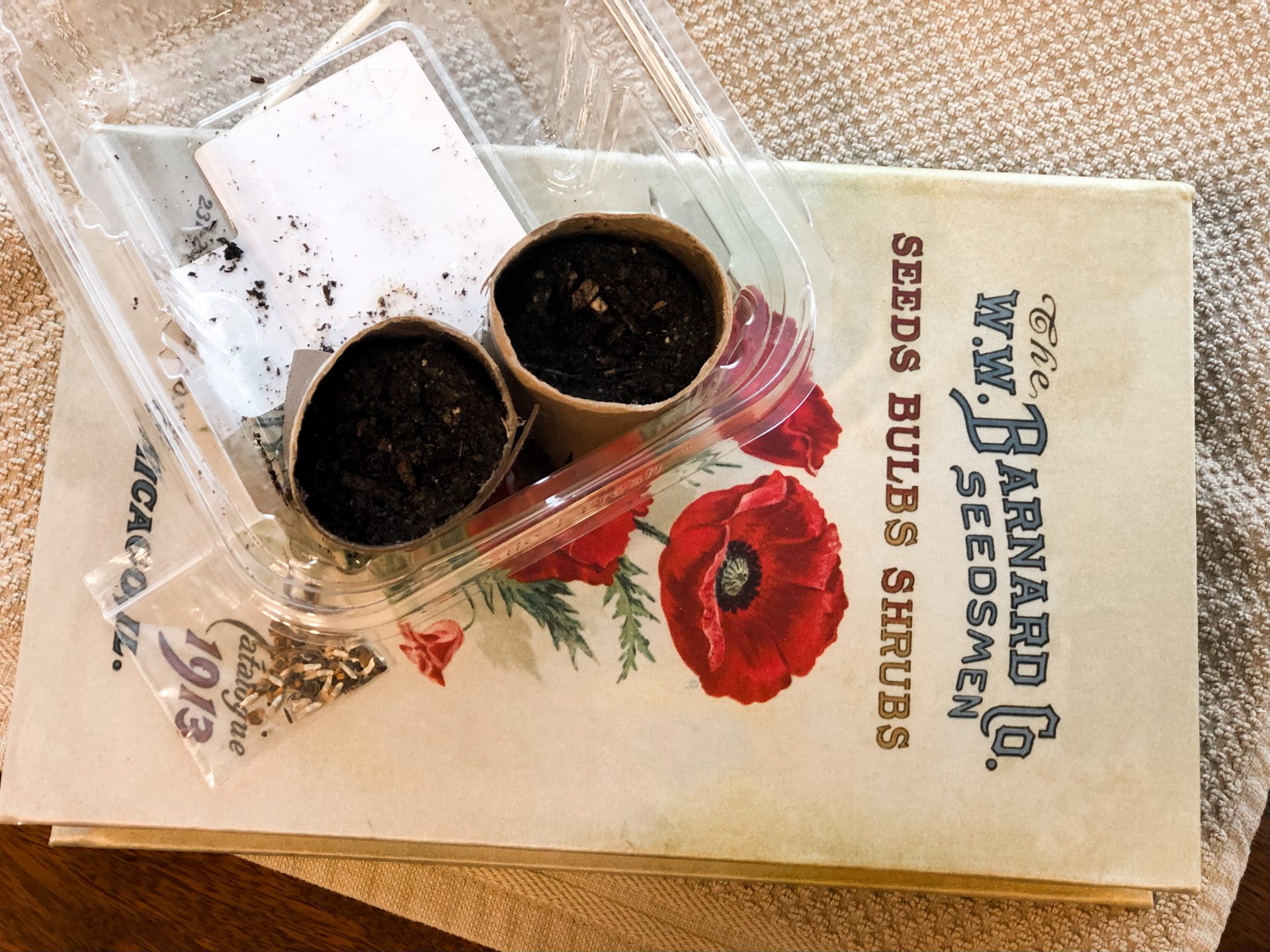 toilet paper, indoor garden, seed starting, seed start, organic gardening