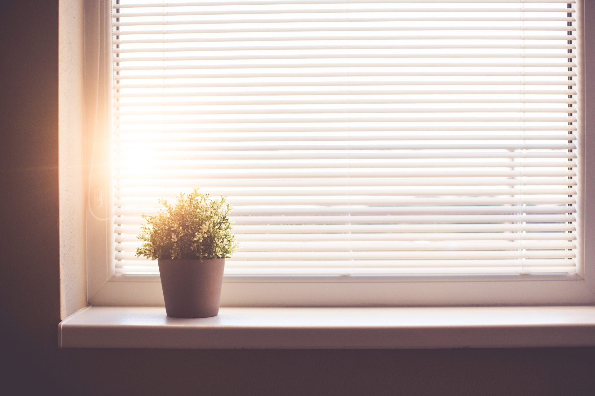 indoor plant lighting